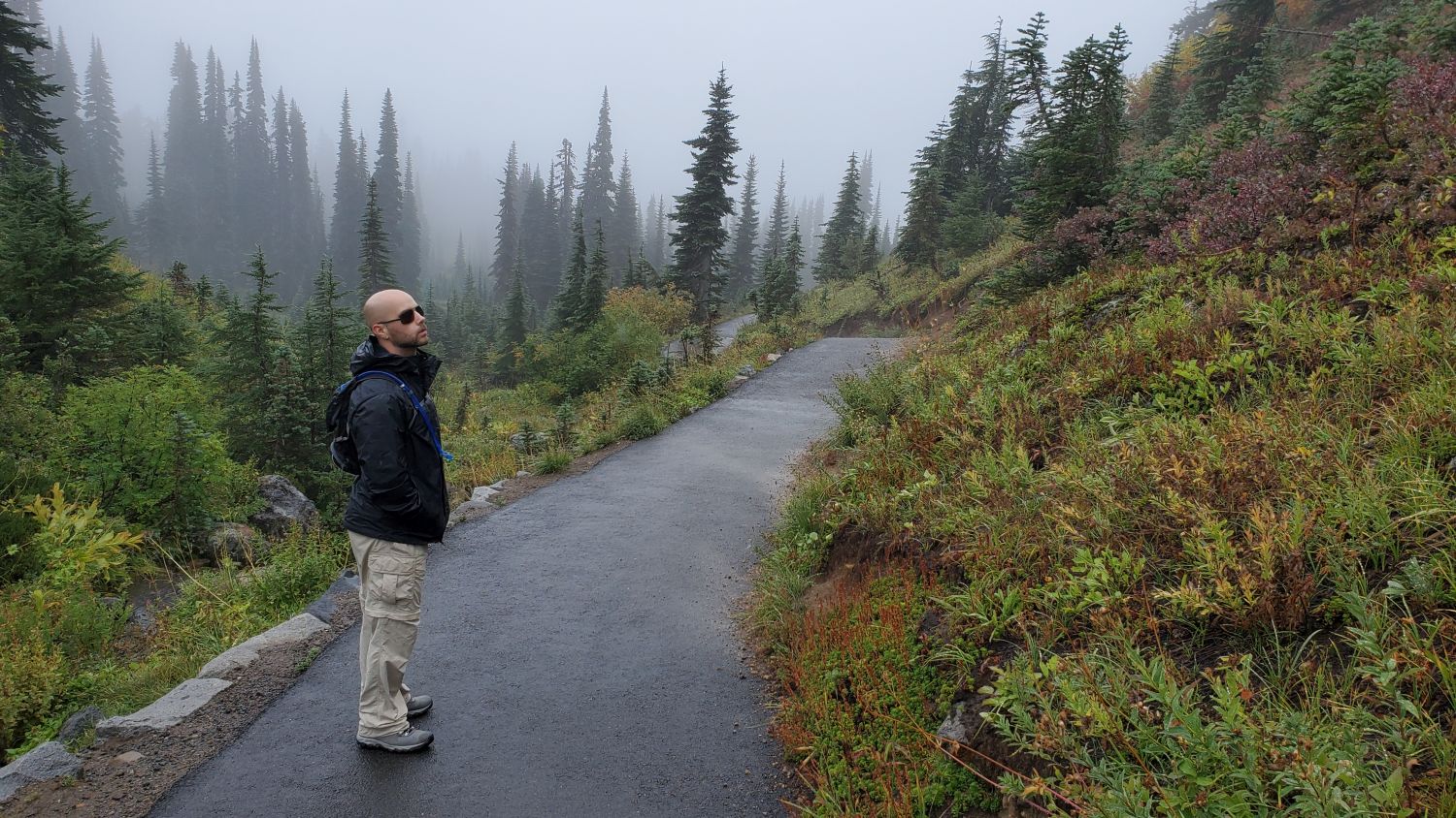 Mount Rainier NP 